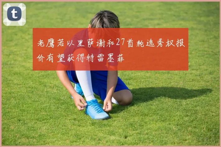 老鹰若以里萨谢和27首轮选秀权报价有望获得特雷墨菲