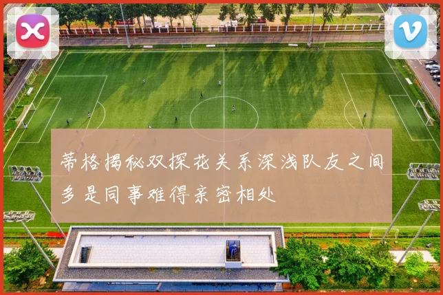 蒂格揭秘双探花关系深浅队友之间多是同事难得亲密相处